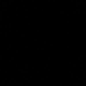 Meet your Posher, Camryn